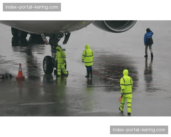 恶劣天气预警,波士顿棕熊队客场航班延误 恶劣天气预警,波士顿棕熊队客场航班延误
