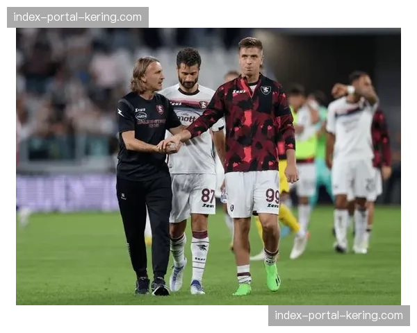 萨勒尼塔纳母公司发布财务预警,若球队降级将面临重大资产减值 萨勒尼塔纳母公司发布财务预警,若球队降级将面临重大资产减值